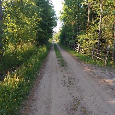 Domek Gajowy Białowieża المظهر الخارجي الصورة