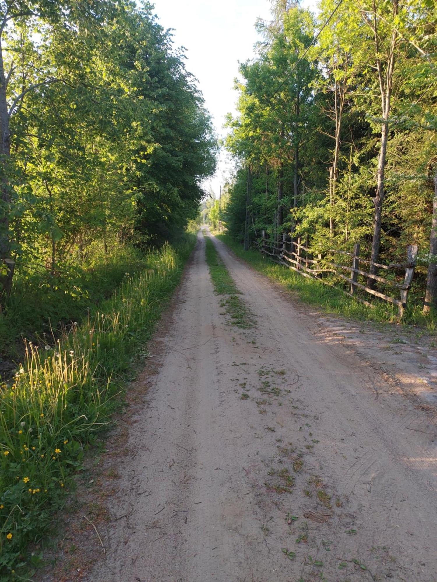 Domek Gajowy Białowieża المظهر الخارجي الصورة